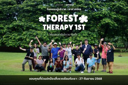 Forest Therapy